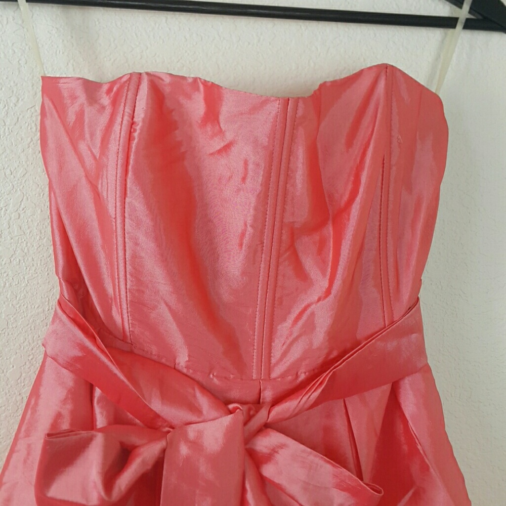 Daisy - Picture 3 of 6